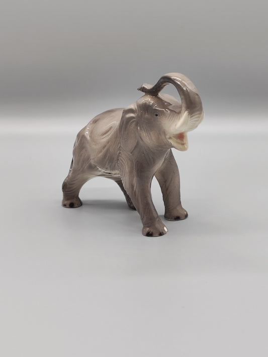 Grauer Elefant frisst Schaden