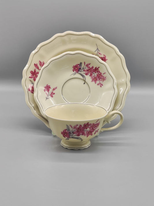 Teeservice für eine Tasse, Sammlerstück, Elfenbeinfarben