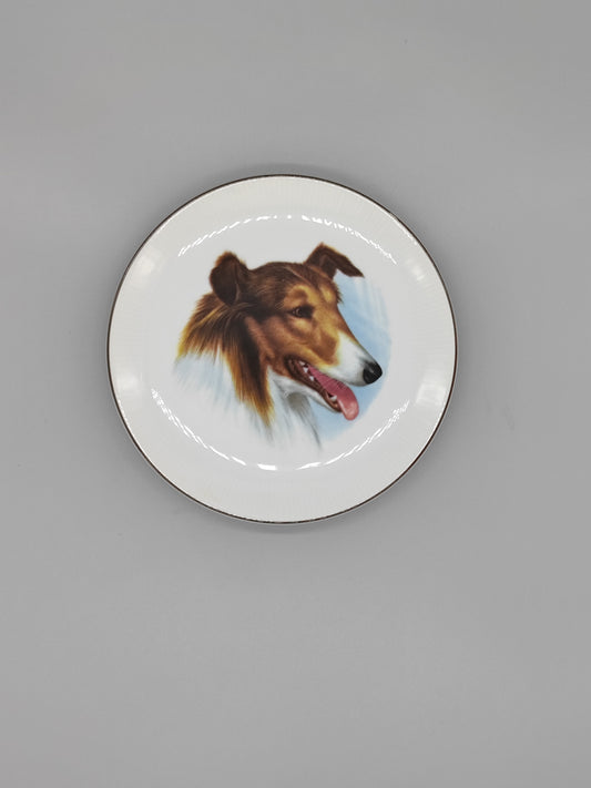 Collie-Teller